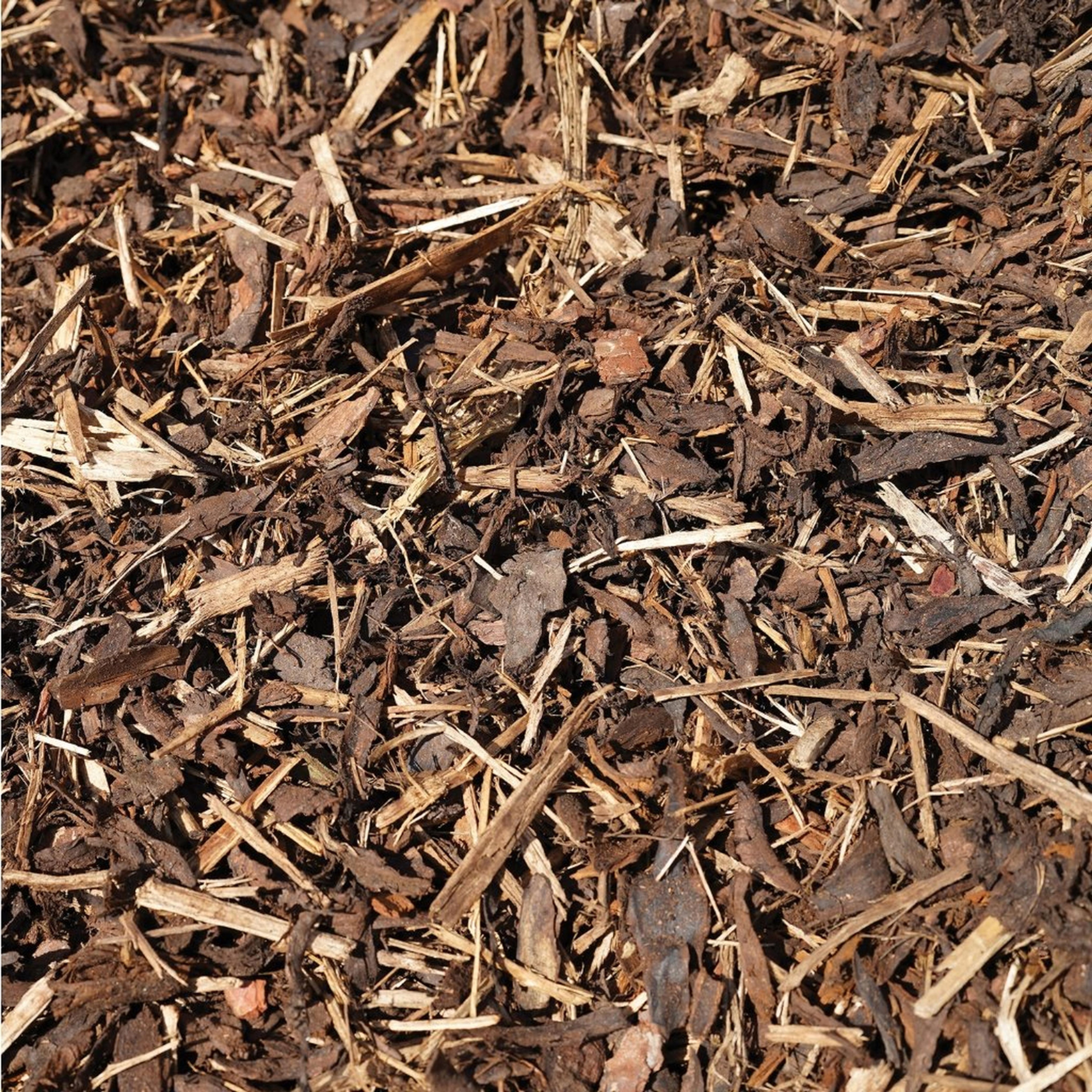 Ornamental Bark Supplier Essex